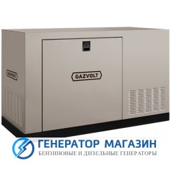 Газовый генератор Gazvolt Standard 22 KT Dnepr 11 с АВР - фото 1