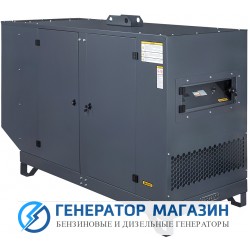 Газовый генератор Gazvolt Standard 22 KT Dnepr 12 с АВР - фото 1