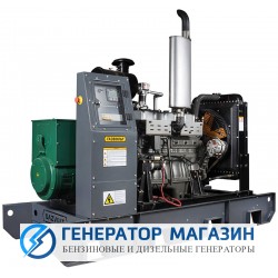 Газовый генератор Gazvolt Standard 56 KTB 21 с АВР - фото 1