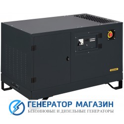 Газовый генератор Gazvolt Pro 15000 Neva 06 с АВР - фото 1