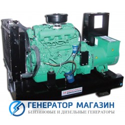 Дизельный генератор MingPowers M-Y41 с АВР - фото 1