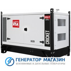 Дизельный генератор Onis VISA P 30 CK с АВР - фото 1