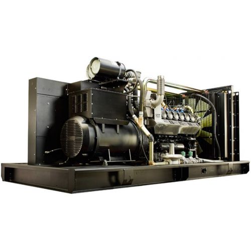 Газовый генератор Pramac GGW350G - фото 1
