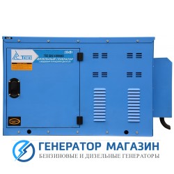 Дизельный генератор ТСС SDG 10000 ES ATS - фото 1