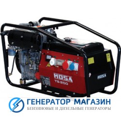 Сварочный генератор Mosa TS 250 D/EL - фото 1