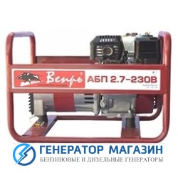 Бензиновый генератор Вепрь АБП 2,7-230Х-Б - фото 1