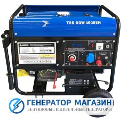 Сварочный генератор ТСС SGW 4000EH - фото 1