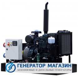 Дизельный генератор EuroPower EP 44 TDE с АВР - фото 1