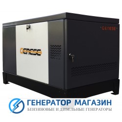 Газовый генератор Genese Standard 14000T Neva в кожухе - фото 1